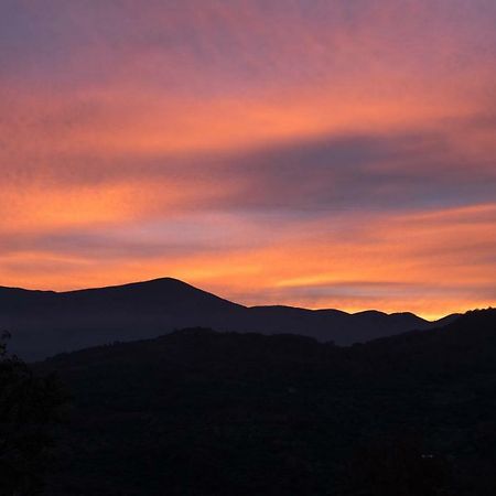 La Banditaccia Monticello Amiata Exteriér fotografie