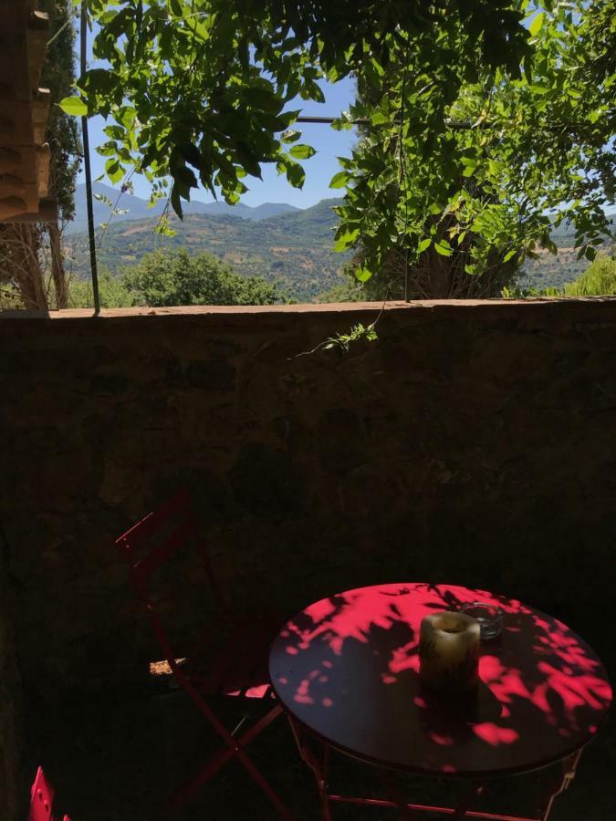 La Banditaccia Monticello Amiata Exteriér fotografie