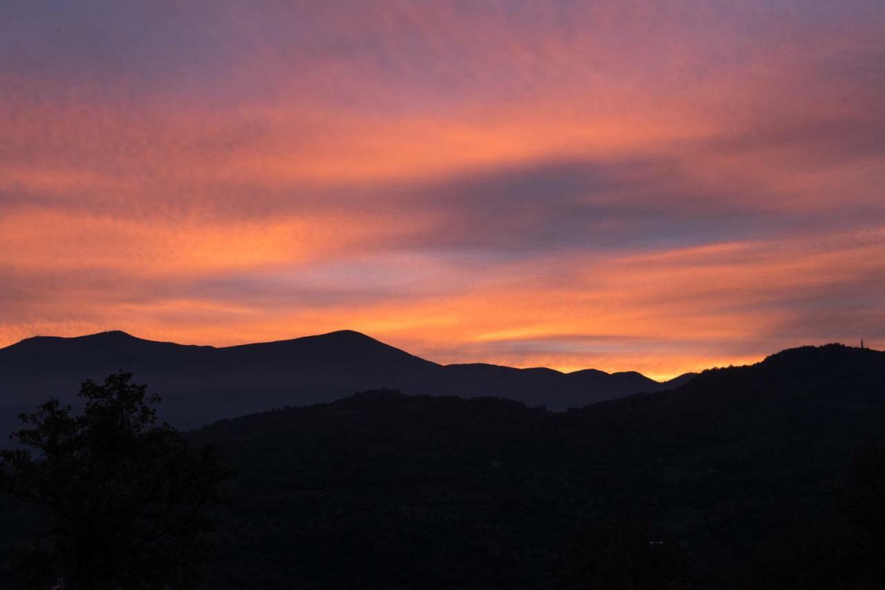 La Banditaccia Monticello Amiata Exteriér fotografie