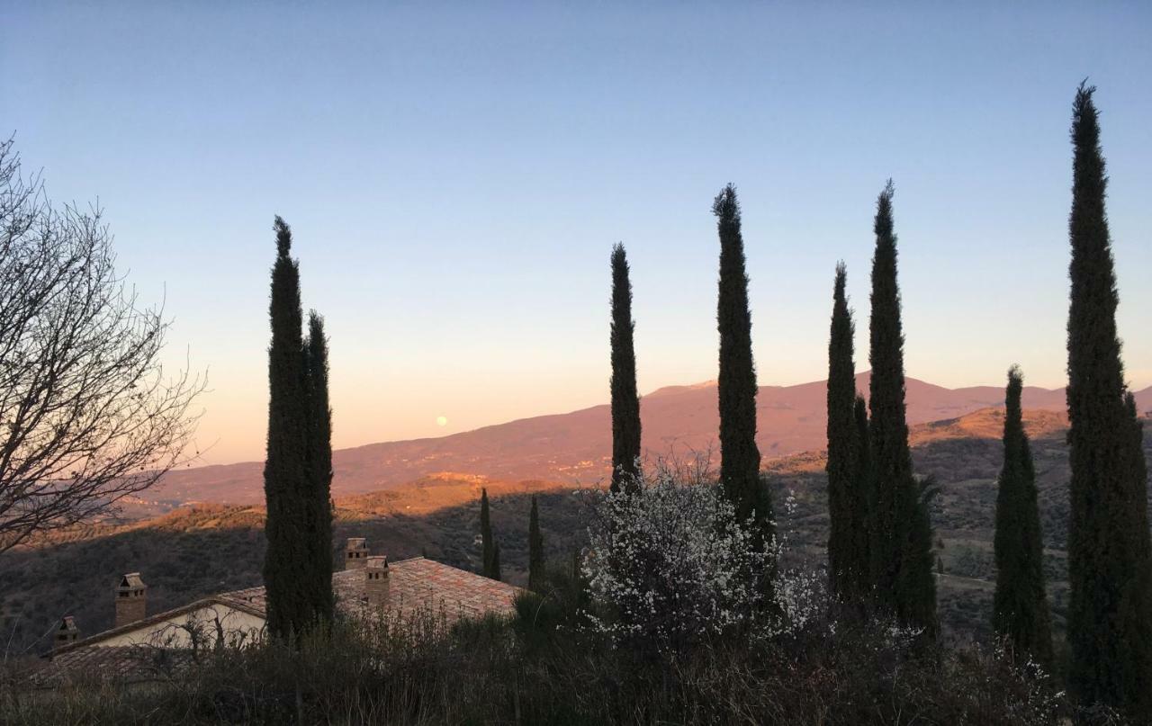La Banditaccia Monticello Amiata Exteriér fotografie