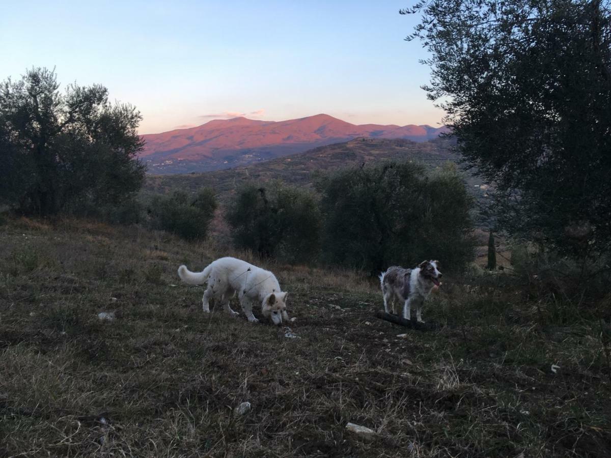 La Banditaccia Monticello Amiata Exteriér fotografie
