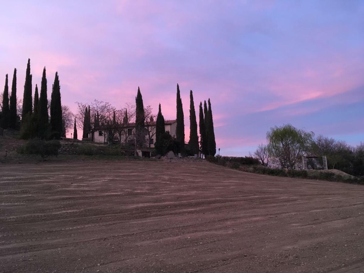 La Banditaccia Monticello Amiata Exteriér fotografie