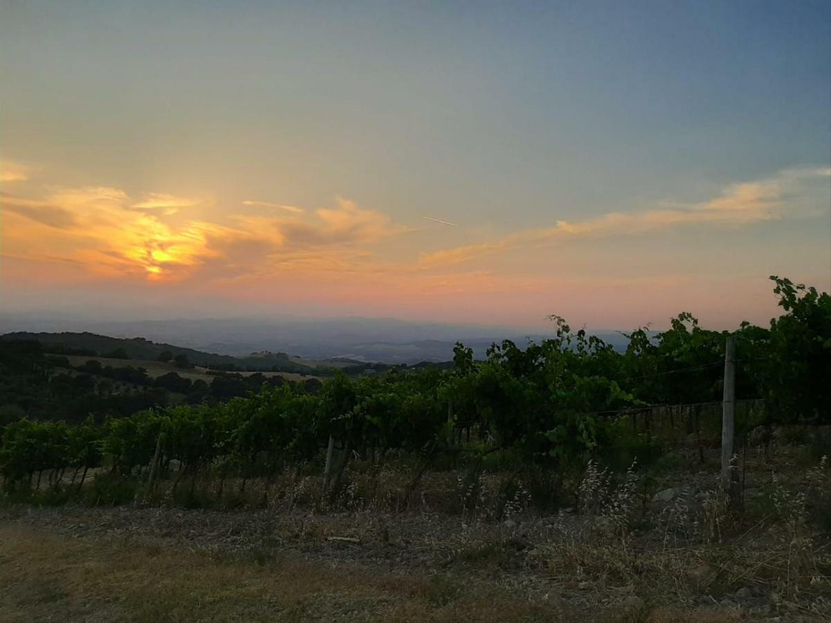 La Banditaccia Monticello Amiata Exteriér fotografie