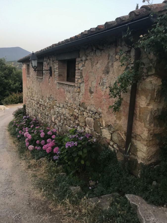 La Banditaccia Monticello Amiata Exteriér fotografie