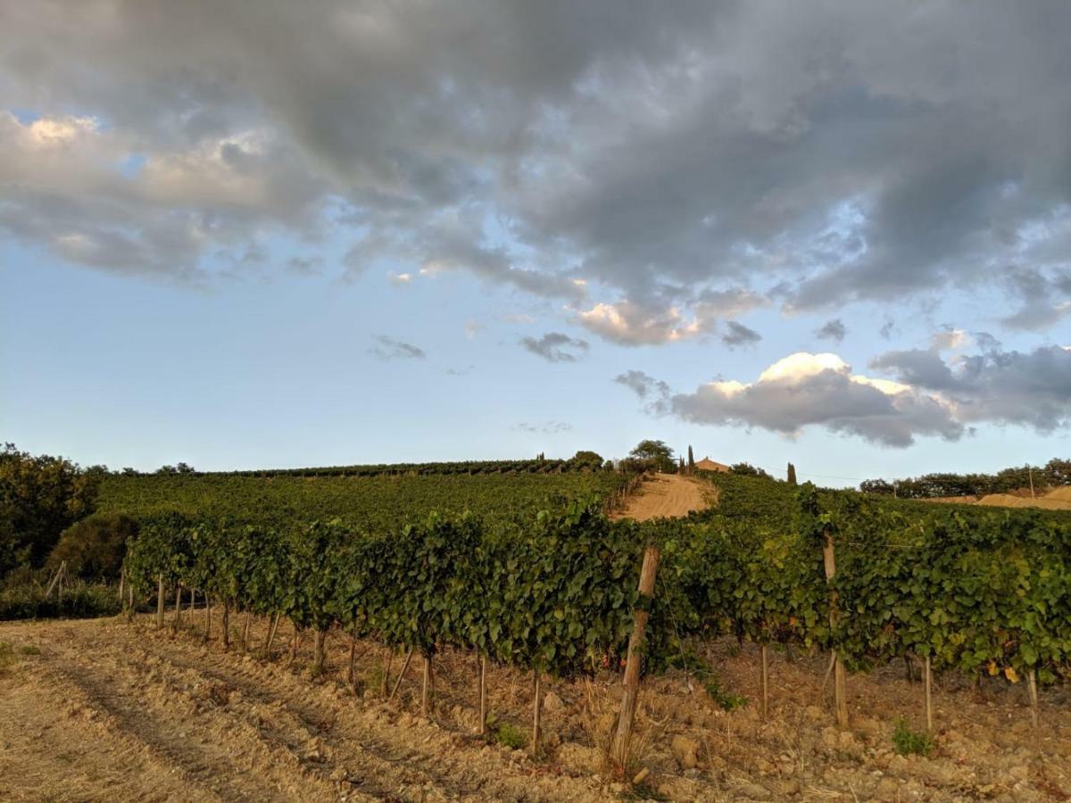 La Banditaccia Monticello Amiata Exteriér fotografie