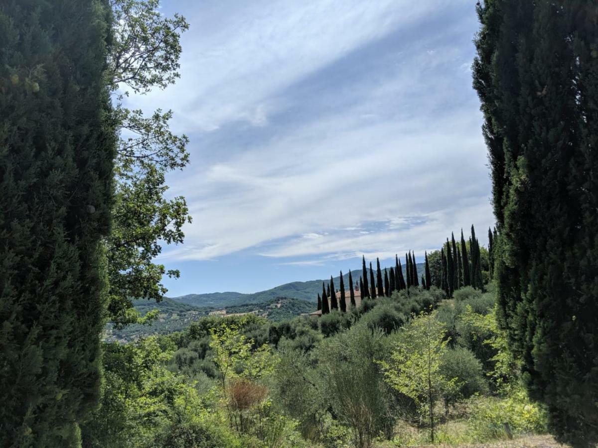 La Banditaccia Monticello Amiata Exteriér fotografie