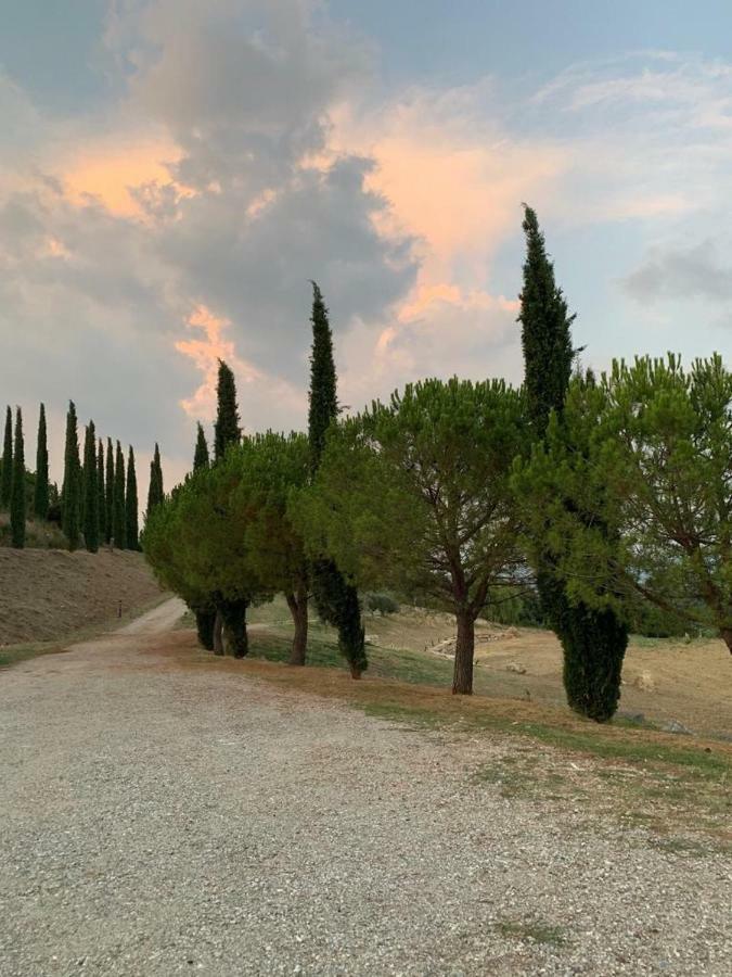 La Banditaccia Monticello Amiata Exteriér fotografie